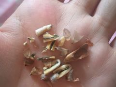 -良品铺子(大唐西市店)