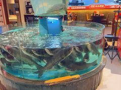 -魏铭鱼头捞饭(晋阳路店)