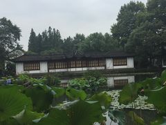 -郭庄茶室