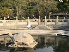 -顺峰山公园