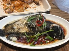 珍珠龙胆石斑鱼-盒马鲜生(悠方店)