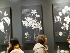-星巴克(北京新东安)