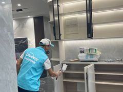 -Liteclear日本进口强效除甲醛检测治理(旗舰店)