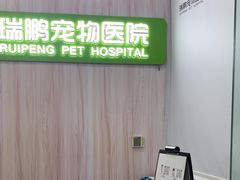 -瑞鹏宠物医院·微创内窥镜·骨外科·牙科(翠竹分院)