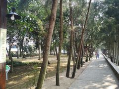 -马銮湾景区