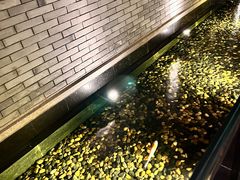 -晶采轩(虹桥路店)