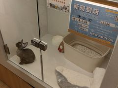 -瑞虹新天地月亮湾