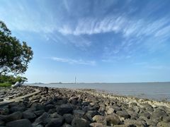 -上海吴淞炮台湾国家湿地公园