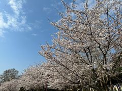 -堤角公园