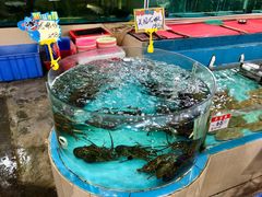 -绿雅居原生态农庄(小涌店)