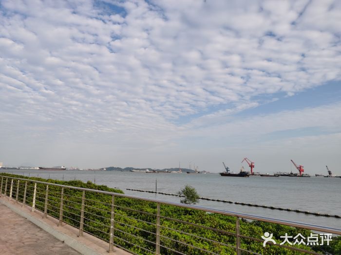 滨海公园图片