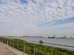 -滨海公园