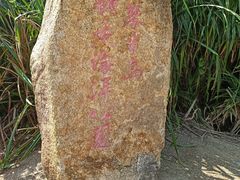 -那琴半岛地质海洋公园
