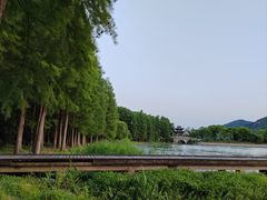 -长广溪湿地公园