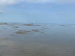 -红树林天天赶海
