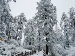 -瓦屋山景区