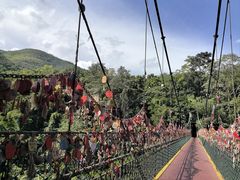 -西双版纳原始森林公园
