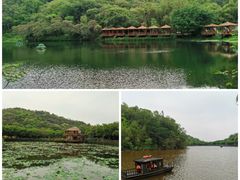 -李小龙乐园(顺德均安店)