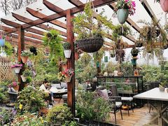 -大隐花事(熊婆婆的花园店)