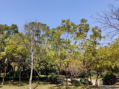 -光明港公园