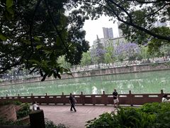 -成都市活水公园