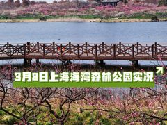 -上海海湾国家森林公园