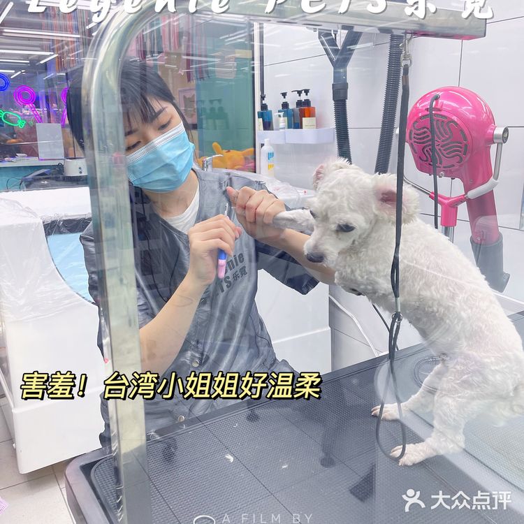 快来带走你的小可爱‼️宠物店中的爱马仕