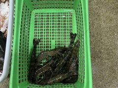 -班赞海鲜市场