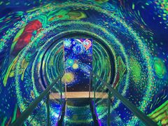 -梵高星空艺术馆(北京旗舰店)