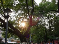 -北京国子监胡同