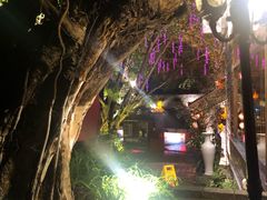 -老茶树山水庭院火锅(126店)