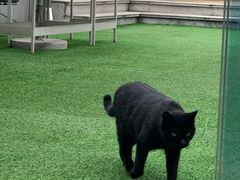 -UNIUNI(凯瑟琳广场店)