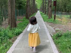 -同里国家湿地公园