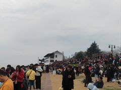 -观潮胜地公园