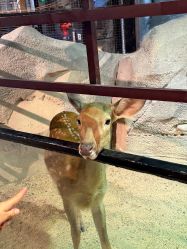 -酷嗒动物文化乐园(cutezoo西溪乐天城店)