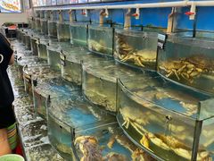 -渔中舟海鲜大排档(普陀沈家门店)