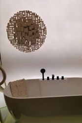 -Fundi张玉珊修身堂·indiba·BTL科技瘦身