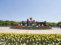 -上海鲜花港