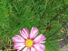 -南通洲际绿博园