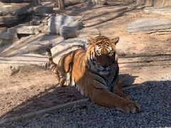 -北京野生动物园