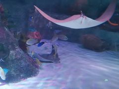 -沈阳海洋探索中心