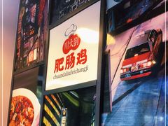 -川大刘肥肠鸡(北国店)