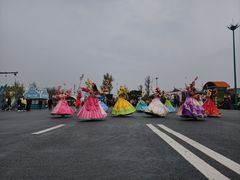 -荷兰花海