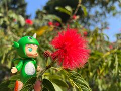 -中国科学院西双版纳热带植物园