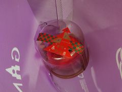 -GANSO元祖食品(锦创书城店)