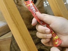 -猫的天空之城概念书店(杭州南宋御街店)