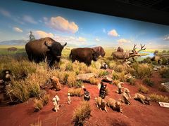 -陕西自然博物馆