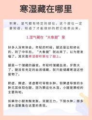 -慈蕊美容养生·专业经络调理