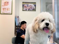 -美迦爱-牙专科·兔科·骨科诊疗中心(北苑店)
