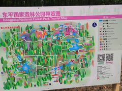 -东平国家森林公园